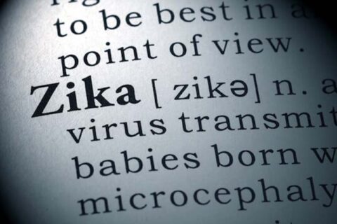 book paragraph indicating Zika