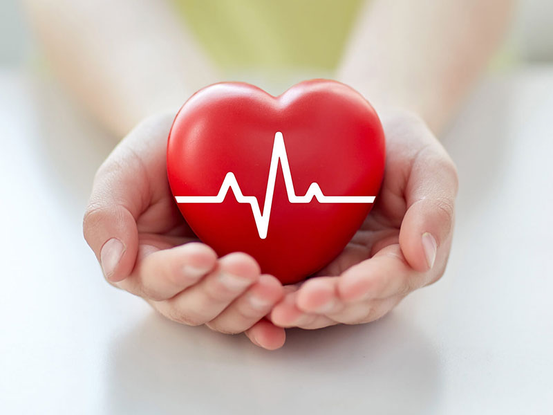 red heart shaped toy in human hands