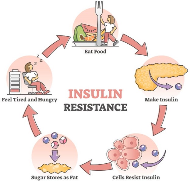 The chart of insulin resistance.