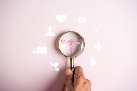 A hand focusing a magnifying glass over a graphic of female reproductive organs