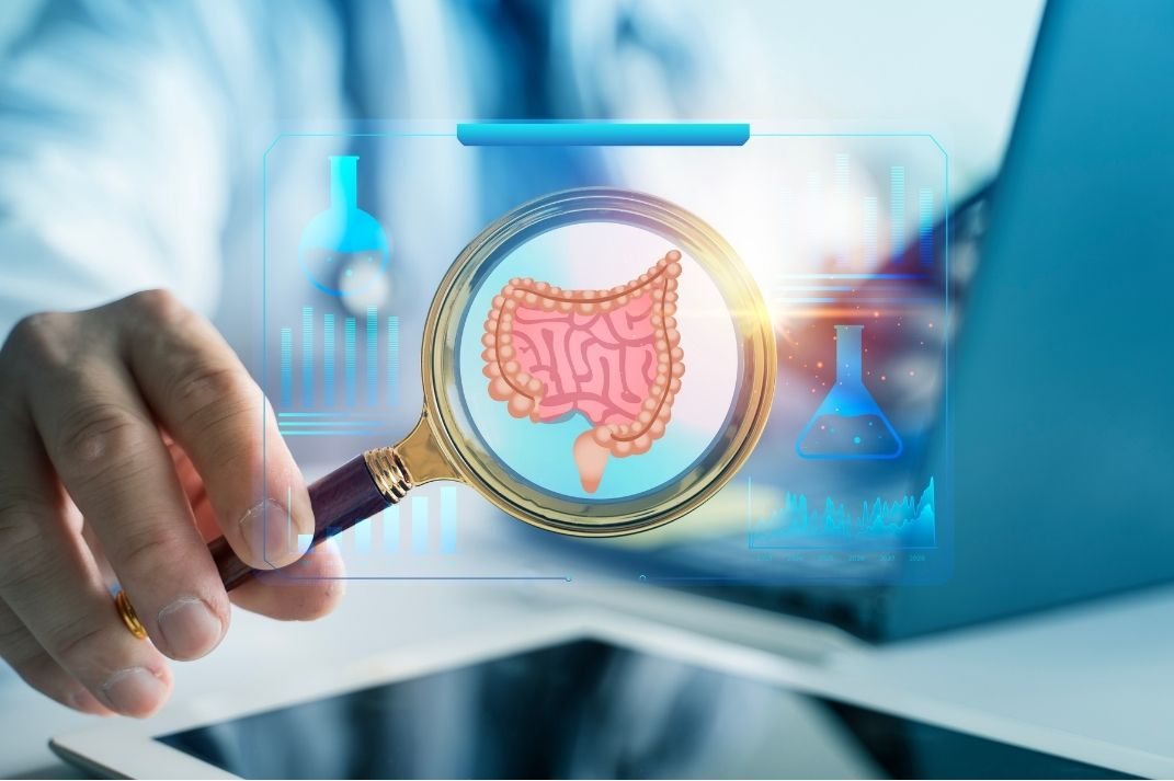 Physician magnifying a graphic of internal organs